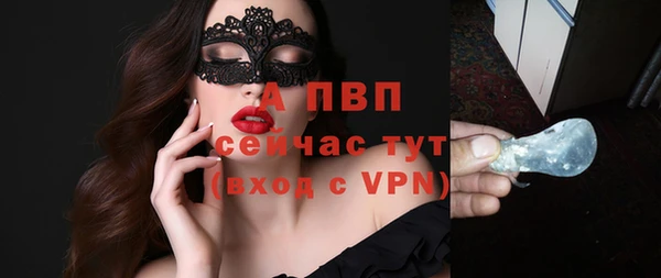 ГАЛЛЮЦИНОГЕННЫЕ ГРИБЫ Карталы