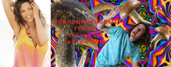 мдпв Каменск-Шахтинский