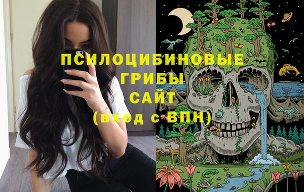 ГАЛЛЮЦИНОГЕННЫЕ ГРИБЫ Карталы