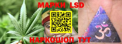 спиды Кинель